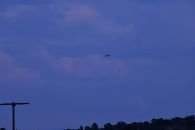 DSC_1874 (Large).JPG